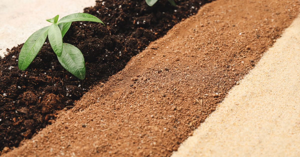 Soil Secrets Unearthed: The Differences Between Topsoil, Garden Soil, and Fill Dirt